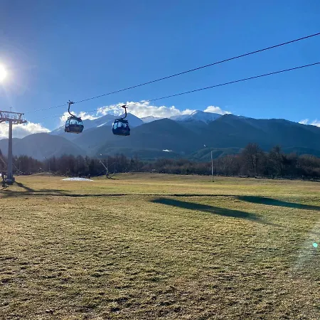 Ski In Belmont *