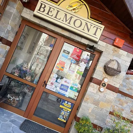 Lejlighed Ski In Belmont